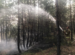 МЧС выдало волгоградцам экстренное предупреждение 
