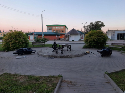 В Волгоградской области полуголый рецидивист разнес памятник «Рукодельницы»
