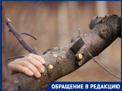 Экс-глава района Волгограда судится с пенсионеркой, оценив свою честь в рубль