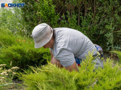 Назван топ-5 самых «дорогих» вакансий в Волгоградской области 