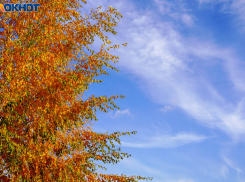 Дожди подпортят бабье лето на границе ноября в Волгограде