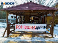 «Сосновый бор» готов отдать конюшню в собственность спортивному клубу