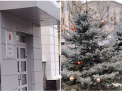 «Декор, который мы заслужили»: елки по-депутатски оценили волгоградцы в центре