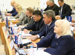 Волгоградские депутаты не хотят выходить на работу после новогодних праздников