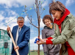 Первый в Котельниково ЭкоДвор обживают мастера-умельцы