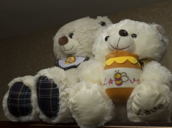 Ответственность за лишение родительских прав и усыновление в Волгограде хотят переложить на чужие плечи