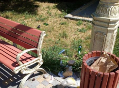 Житель Волгограда назвал земляков свиньями