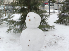 Волгоградцы устроили масштабную битву снеговиков