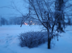  Волгоградцам придется пройти сквозь туман