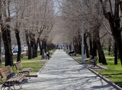 Зима отступила от Волгограда