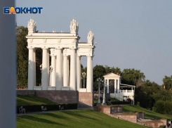  «Зарю» и «Волгоградвзрывпром» оставить в собственности региона потребовал бывший депутат