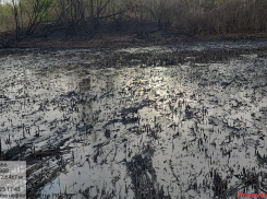 Извержение нефти на 167 млн произошло в Волгоградской области