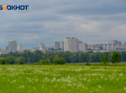 Ожидания и реальность: стратегия администрации Волгоградской области на 2020 год девятилетней давности