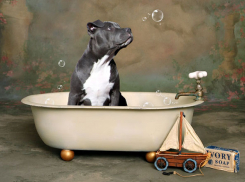 На три недели оставили без горячей воды жителей запада Волгограда