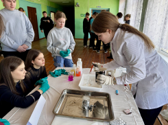 «Weekend* профессий» и будни профессионалов