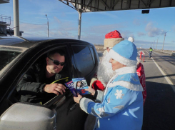 В Волгограде полицейские Дед Мороз и Снегурка одарили подарками местных водителей