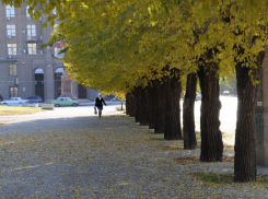 Уровень радиации в Волгоградской области достиг 0,11 мкЗв/ч