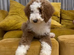 Ирина Дубцова снова объявила себя мамочкой