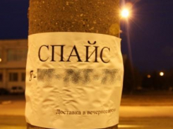 В Волгограде задержали 18-летнего наркодилера и ликвидировали сотню «закладок» спайса