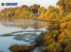 Небольшие дожди, ветрено и +24: погода на 18 октября в Волгоградской области