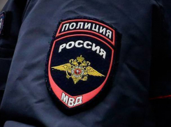 Пьяный водитель дал полицейскому в ухо ради побега на просторы Волгоградской области