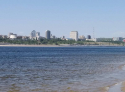 В Волгограде пьяный капитан за рулем электрохода покалечил моториста-рулевого