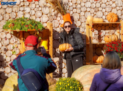  Численность населения назвали в Волгоградской области