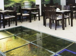 Танцы на «золотых рыбках» в центре Волгограда для всех желающих