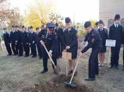 Кадеты и школьники Волгограда высадили деревья в честь сотрудников НКВД и МВД