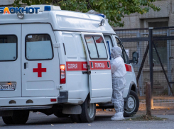 Перейти на удаленку, особый контроль за маршрутками: губернатор Волгоградской области озвучил новые меры 