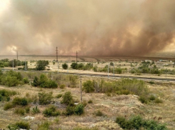 50 спасателей остановили масштабный пожар на подступах к жилым домам под Волгоградом