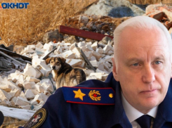 Бастрыкину снова пожаловались на озверевших волгоградских собак