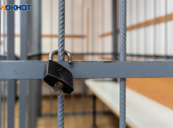 Волгоград опередил Россию по темпам снижения преступности 