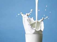 Волгоград отметил День молока