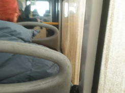 «Картина грязью»: волгоградка рассказала о закрытых для обзора окнах на популярном автобусе