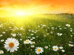 В Волгоград возвращается минусовая температура