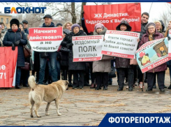   Митинг дольщиков с требованием отставки Андрея Бочарова в объективе фотографа