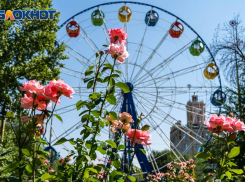 В Волгоград пришла жара до +32°