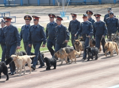 Три тысячи правоохранителей присмотрят за жителями Волгограда на Пасху
