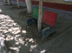 Вино, пиво и медовуха: стали известны источники пополнения бюджета Волгоградской области