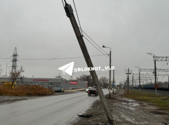 В символ позора дорожного благоустройства ткнули носом волгоградских чиновников