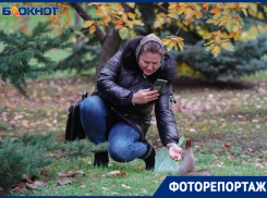 Пушистые гостьи с непростой историей: кадры тайной жизни белок с Мамаева кургана