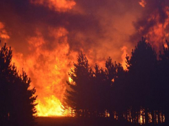 МЧС предупреждает о чрезвычайной пожароопасности на территории Волгоградской области