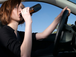 Под Волгоградом пьяная чиновница разбила видеорегистратор ДПС