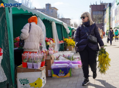 Где купить цветы к 8 марта? Инструкция для волгоградцев