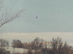 Под Волгоградом к поискам пропавшей девочки привлекли авиацию