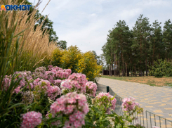 Грозы и до 31 градуса ожидается в Волгоградской области 27 июля