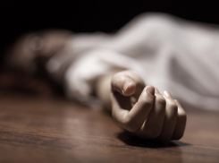 В Волгограде 28-летняя многодетная мама одним ударом отправила на тот свет пенсионера 