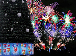 Раскрыто имя самого обаятельного артиста новогоднего шоу в Волгограде