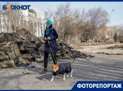 Светящиеся одуванчики и живая изгородь: в объективе волгоградского фотографа начало благоустройства площади у «Царицынской оперы»